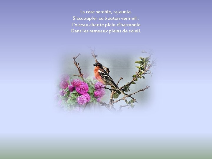 La rose semble, rajeunie, S'accoupler au bouton vermeil ; L'oiseau chante plein d'harmonie Dans