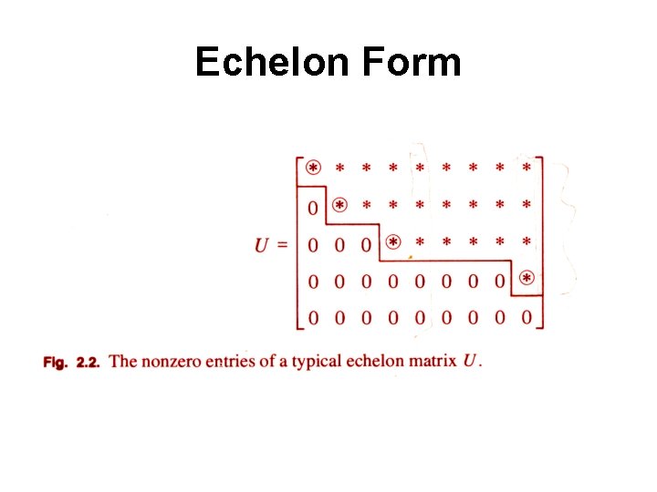 Echelon Form 