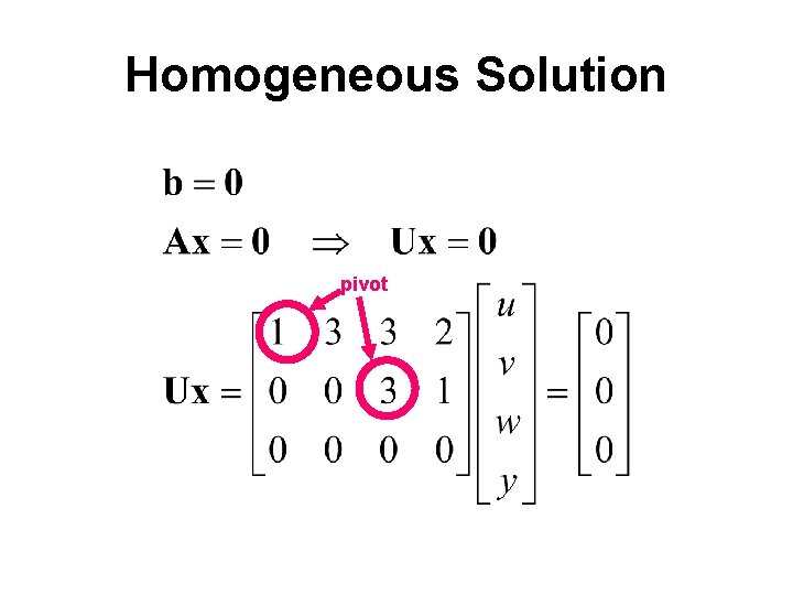 Homogeneous Solution pivot 