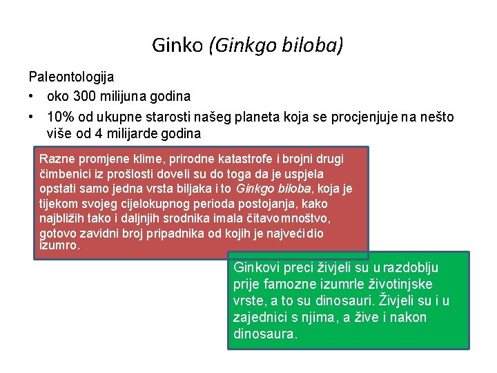 Ginko (Ginkgo biloba) Paleontologija • oko 300 milijuna godina • 10% od ukupne starosti