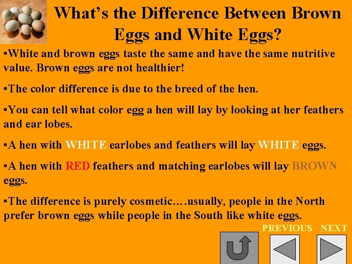 What’s the Difference Between Brown Eggs and White Eggs? • White and brown eggs
