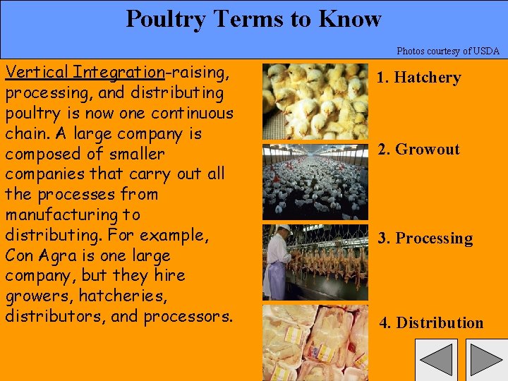 Poultry Terms to Know Photos courtesy of USDA Vertical Integration-raising, processing, and distributing poultry