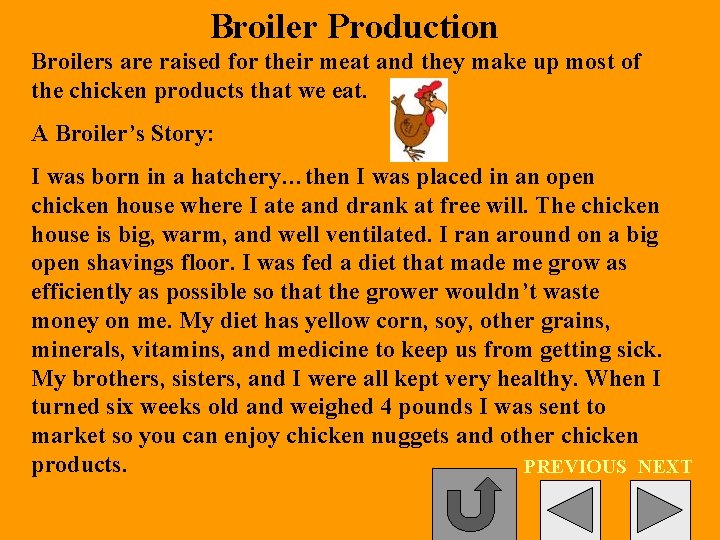 Broiler Production Broilers are raised for their meat and they make up most of