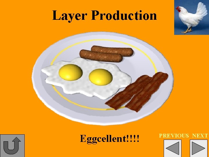 Layer Production Eggcellent!!!! PREVIOUS NEXT 