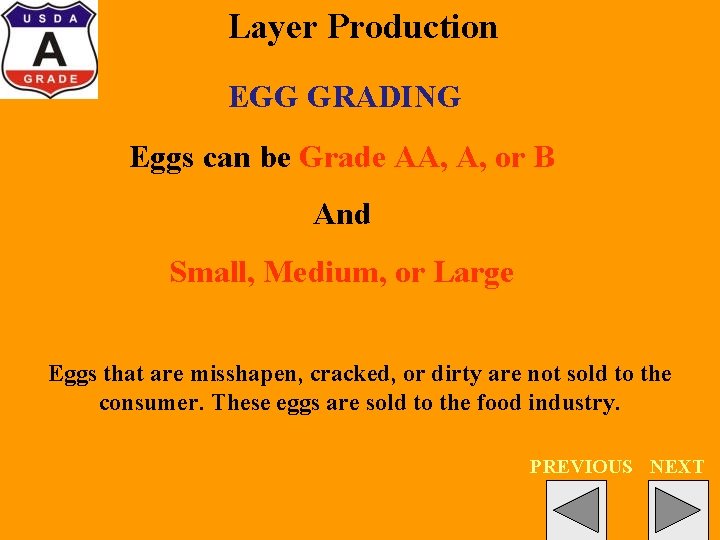 Layer Production EGG GRADING Eggs can be Grade AA, A, or B And Small,