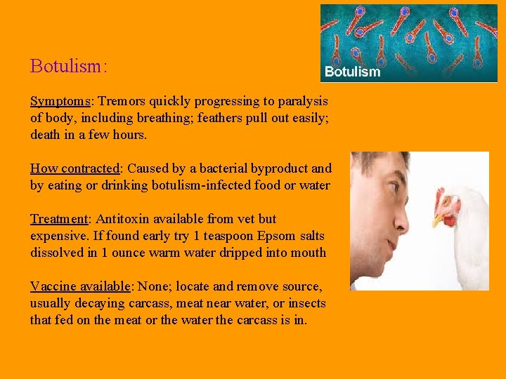 Botulism: Symptoms: Tremors quickly progressing to paralysis of body, including breathing; feathers pull out