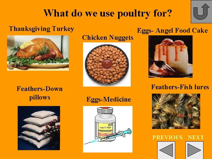 What do we use poultry for? Thanksgiving Turkey Chicken Nuggets Feathers-Down pillows Eggs- Angel