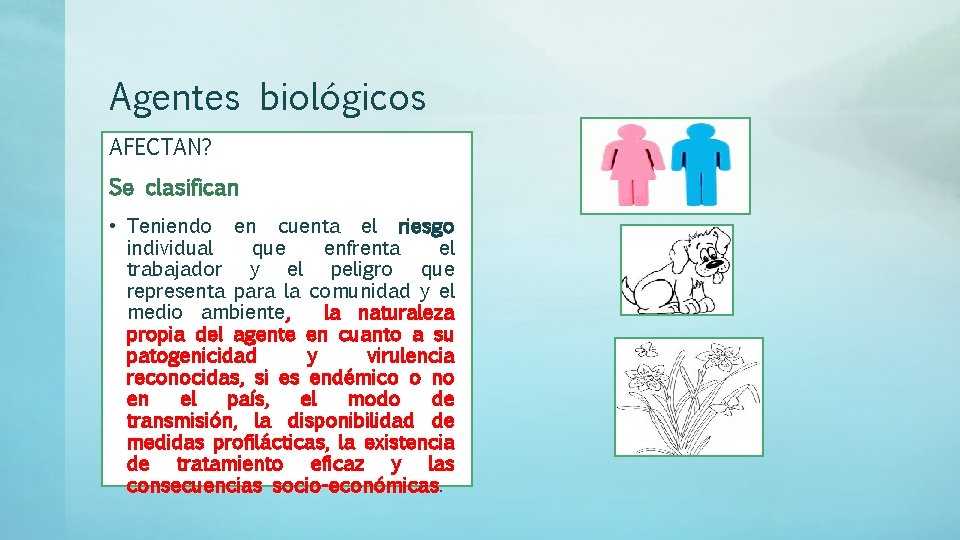 Agentes biológicos AFECTAN? Se clasifican • Teniendo en cuenta el riesgo individual que enfrenta