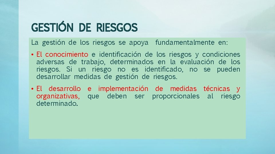 GESTIÓN DE RIESGOS La gestión de los riesgos se apoya fundamentalmente en: • El