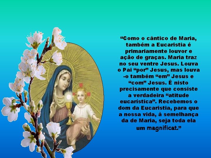 “Como o cântico de Maria, também a Eucaristia é primariamente louvor e ação de
