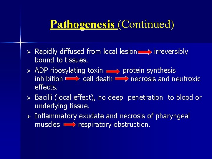 Pathogenesis (Continued) Ø Ø Rapidly diffused from local lesion irreversibly bound to tissues. ADP