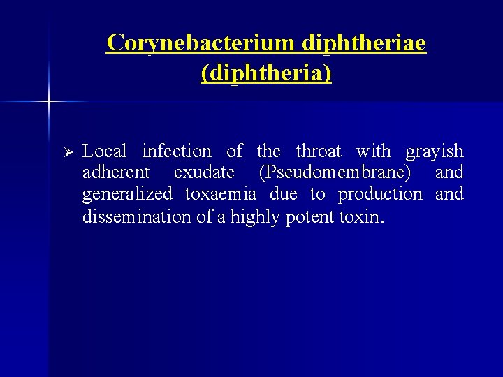 Corynebacterium diphtheriae (diphtheria) Ø Local infection of the throat with grayish adherent exudate (Pseudomembrane)