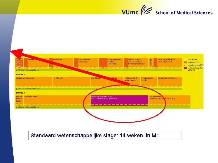 Standaard wetenschappelijke stage: 14 weken, in M 1 