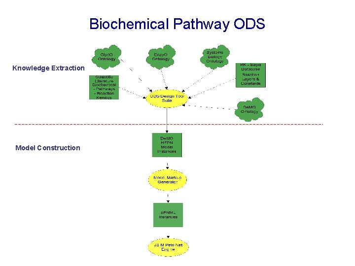 Biochemical Pathway ODS Knowledge Extraction Model Construction 