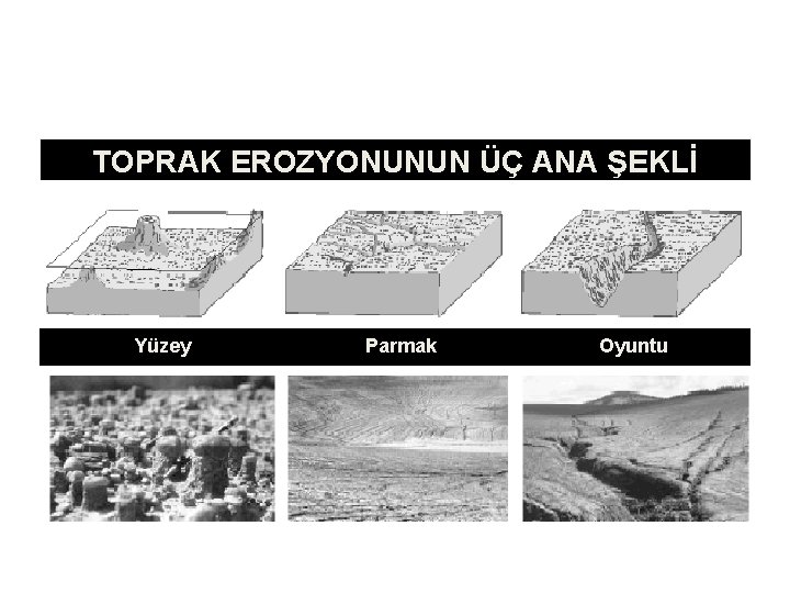 TOPRAK EROZYONUNUN ÜÇ ANA ŞEKLİ Yüzey Parmak Oyuntu 