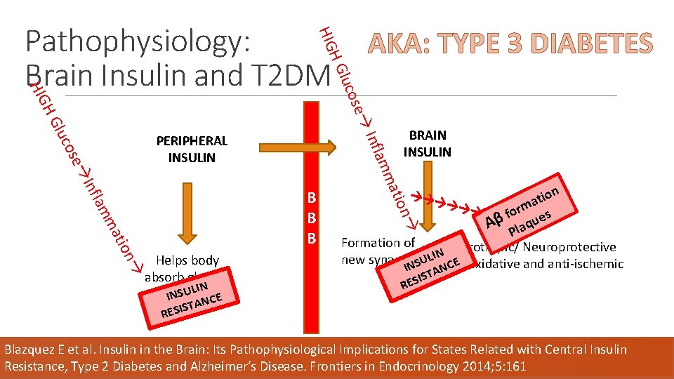 AKA: TYPE 3 DIABETES o luc se HG HIG luco HG HIG Pathophysiology: Brain