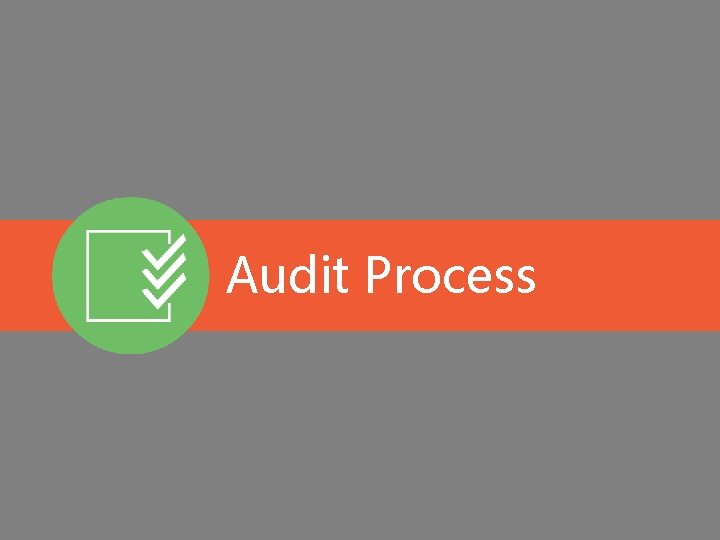 Audit Process 