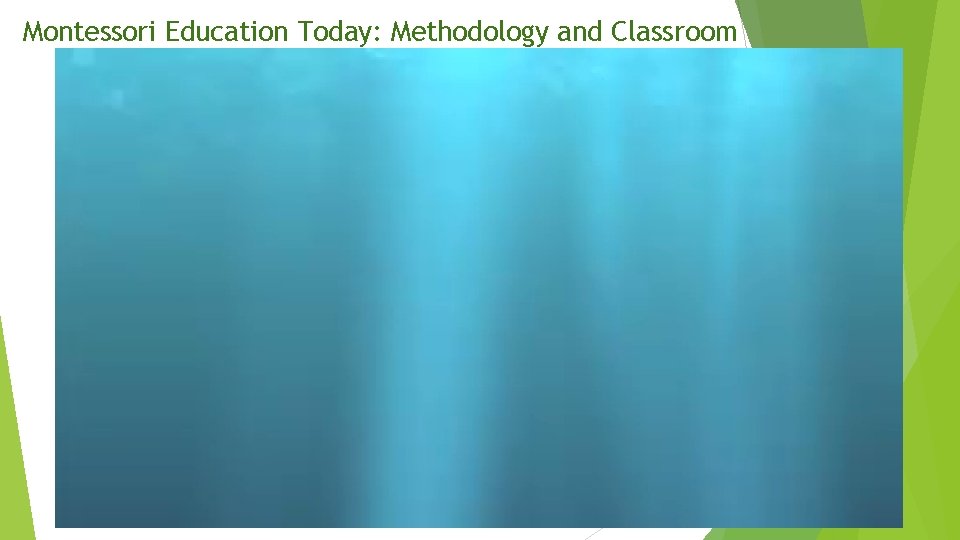 Montessori Education Today: Methodology and Classroom 