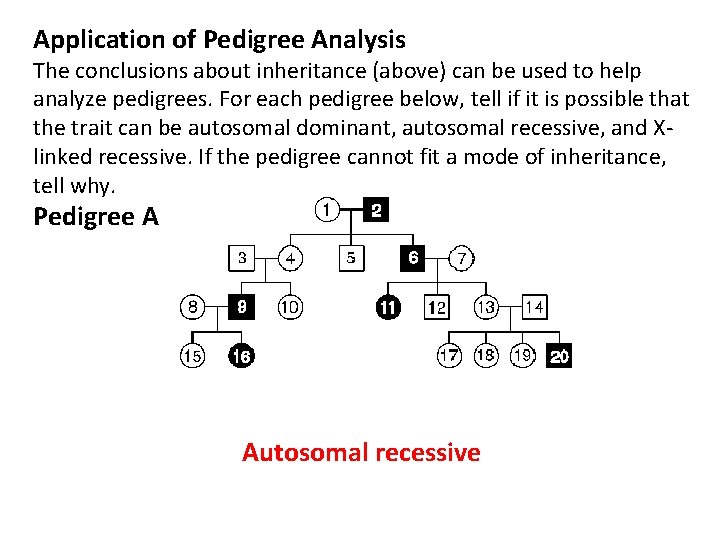 Application of Pedigree Analysis The conclusions about inheritance (above) can be used to help
