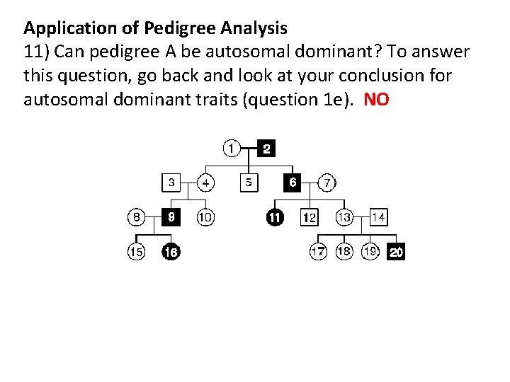 Application of Pedigree Analysis 11) Can pedigree A be autosomal dominant? To answer this