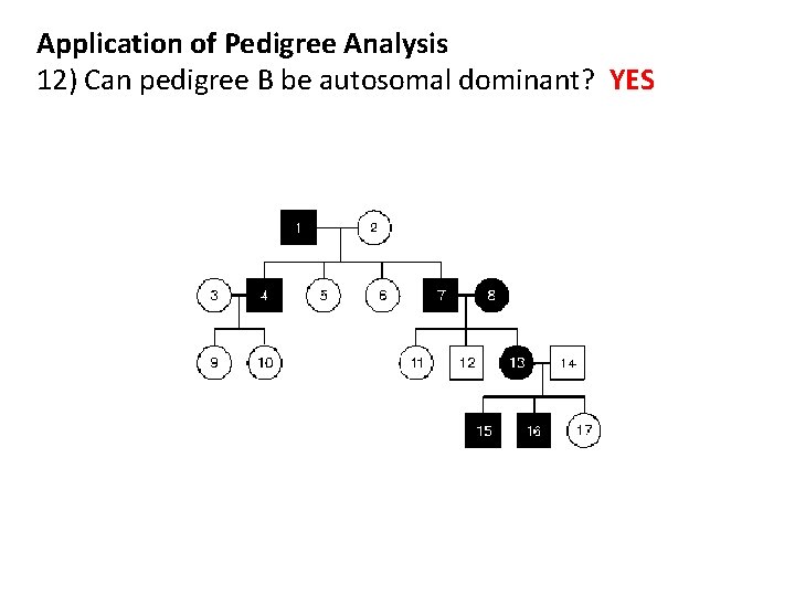 Application of Pedigree Analysis 12) Can pedigree B be autosomal dominant? YES 