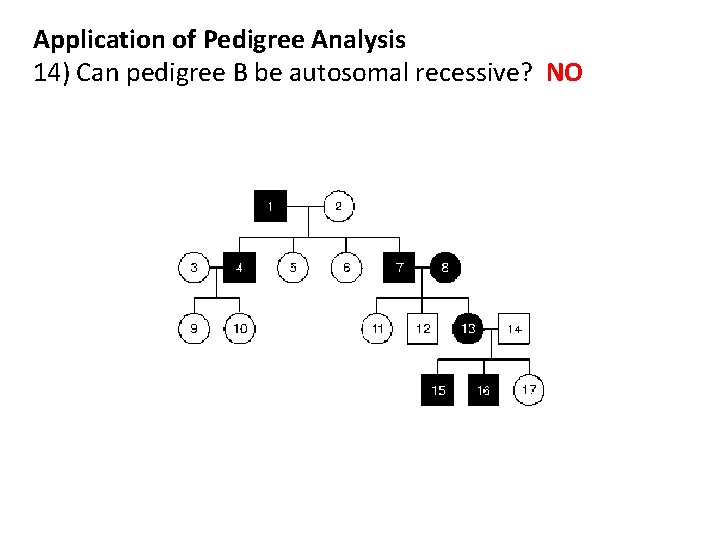 Application of Pedigree Analysis 14) Can pedigree B be autosomal recessive? NO 