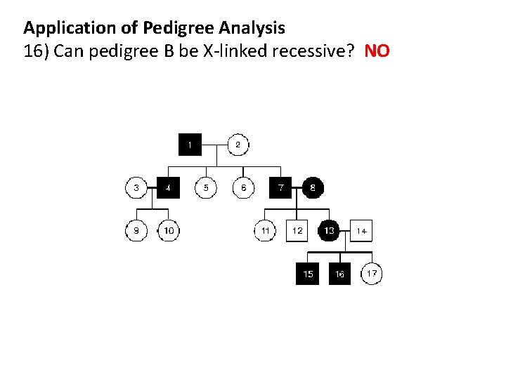 Application of Pedigree Analysis 16) Can pedigree B be X-linked recessive? NO 
