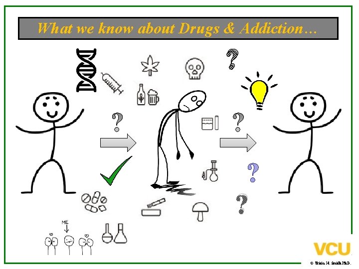 What we know about Drugs & Addiction… ? ? ? ? © Tricia H.
