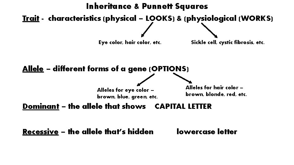 Inheritance & Punnett Squares Trait - characteristics (physical – LOOKS) & (physiological (WORKS) Eye