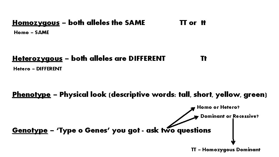 Homozygous – both alleles the SAME TT or tt Homo = SAME Heterozygous –