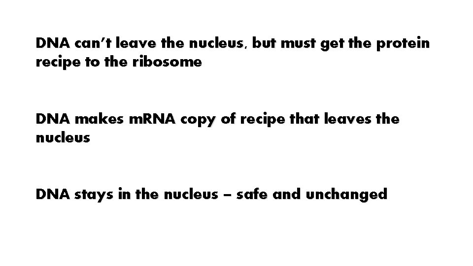 DNA can’t leave the nucleus, but must get the protein recipe to the ribosome