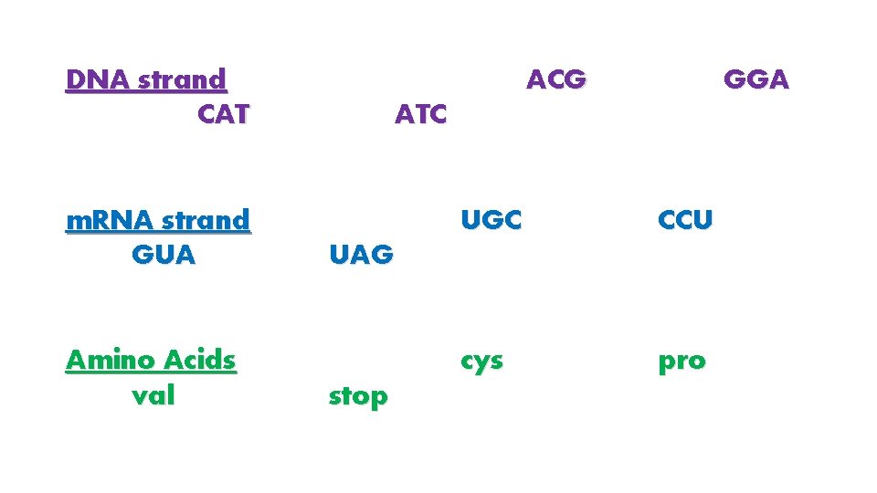 DNA strand CAT m. RNA strand GUA Amino Acids val ACG GGA ATC UGC