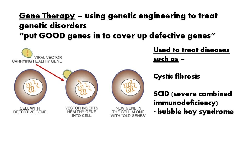 Gene Therapy – using genetic engineering to treat genetic disorders “put GOOD genes in