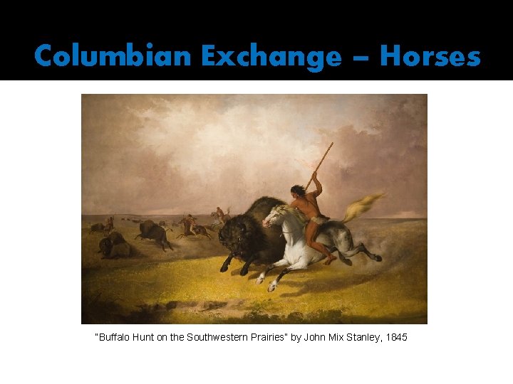 Columbian Exchange – Horses “Buffalo Hunt on the Southwestern Prairies” by John Mix Stanley,