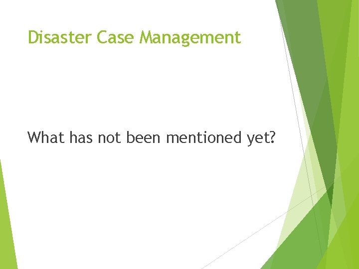 Disaster Case Management What has not been mentioned yet? 