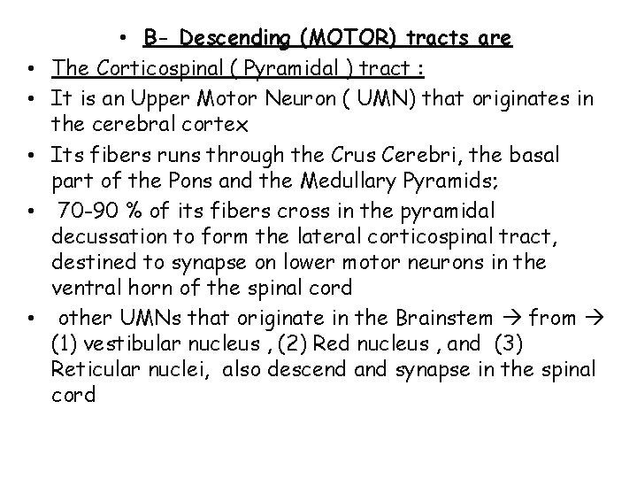  • • • B- Descending (MOTOR) tracts are The Corticospinal ( Pyramidal )