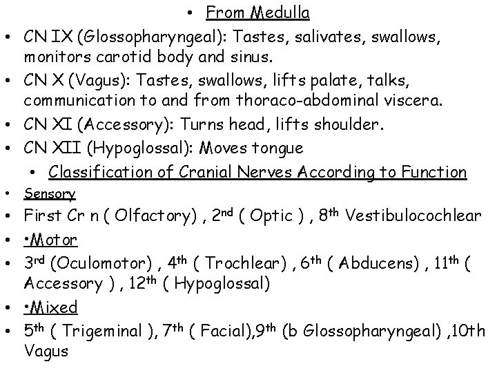  • • • From Medulla CN IX (Glossopharyngeal): Tastes, salivates, swallows, monitors carotid