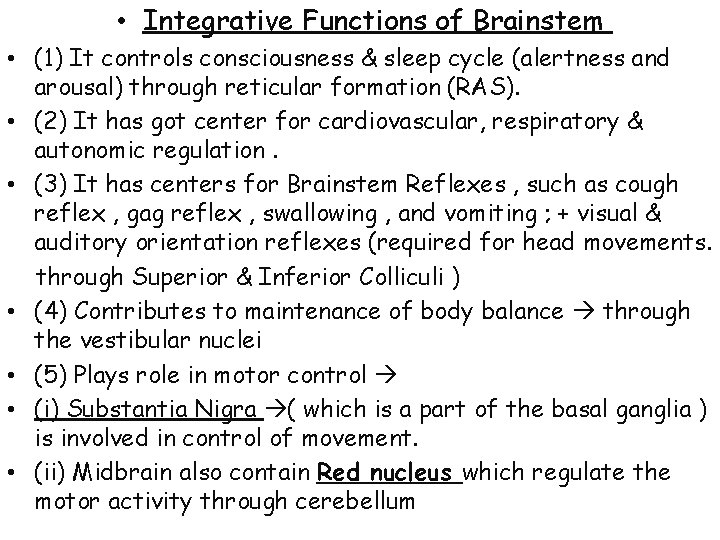  • Integrative Functions of Brainstem • (1) It controls consciousness & sleep cycle
