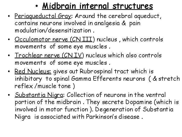  • Midbrain internal structures • Periaqueductal Gray: Around the cerebral aqueduct, contains neurons