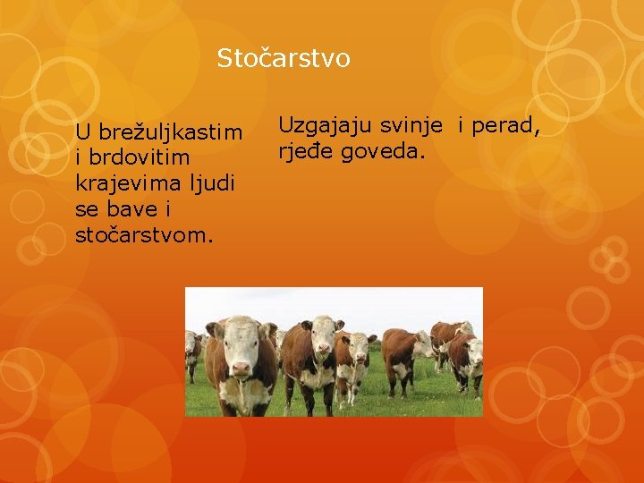 Stočarstvo U brežuljkastim i brdovitim krajevima ljudi se bave i stočarstvom. Uzgajaju svinje i