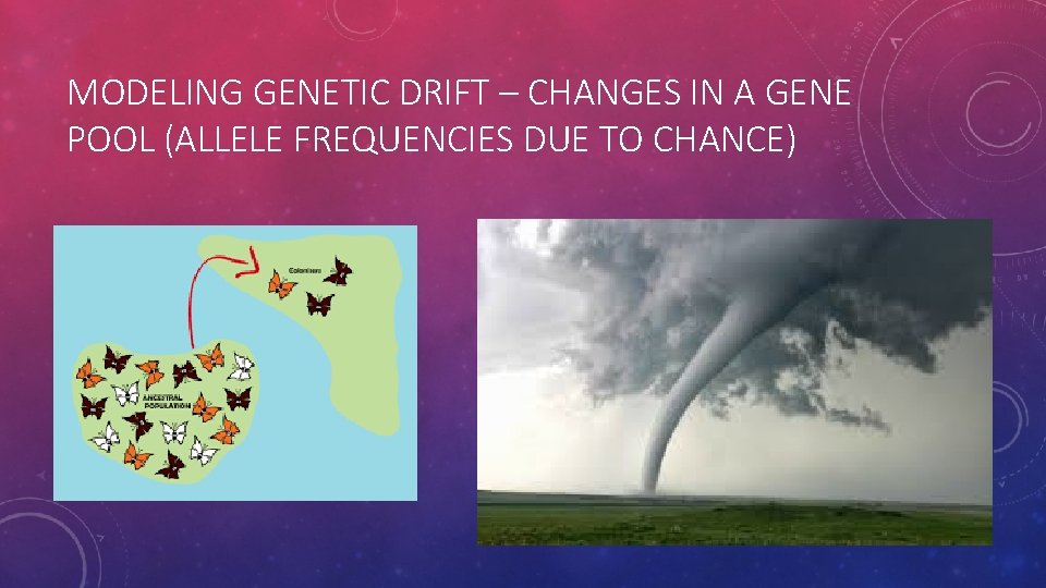 MODELING GENETIC DRIFT – CHANGES IN A GENE POOL (ALLELE FREQUENCIES DUE TO CHANCE)
