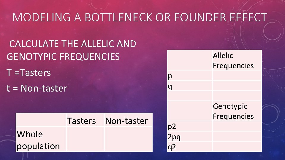 MODELING A BOTTLENECK OR FOUNDER EFFECT CALCULATE THE ALLELIC AND GENOTYPIC FREQUENCIES T =Tasters