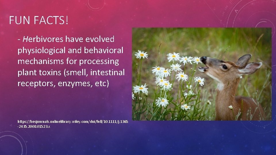 FUN FACTS! - Herbivores have evolved physiological and behavioral mechanisms for processing plant toxins