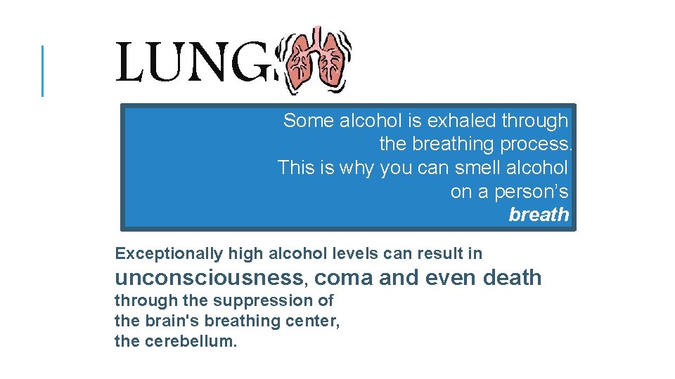 LUNGS Some alcohol is exhaled through the breathing process. This is why you can