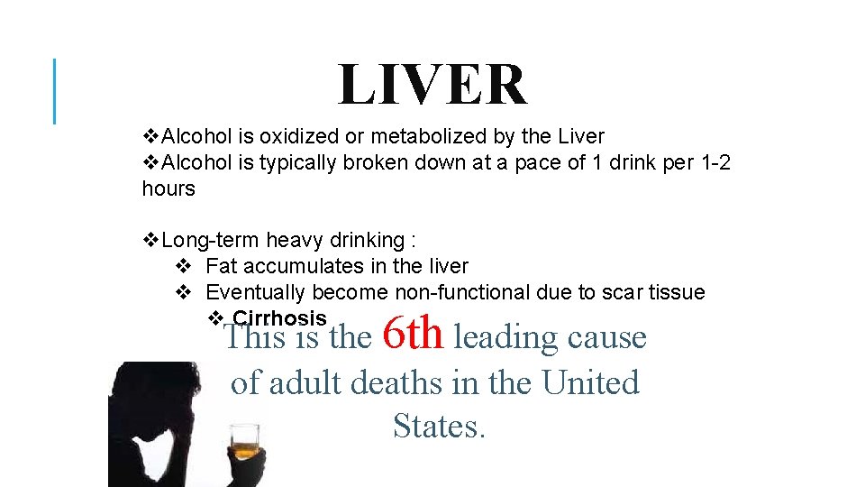 LIVER v. Alcohol is oxidized or metabolized by the Liver v. Alcohol is typically