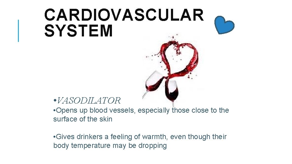 CARDIOVASCULAR SYSTEM • VASODILATOR • Opens up blood vessels, especially those close to the