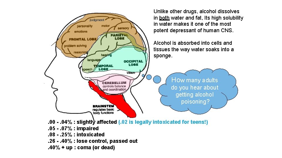 judgment Unlike other drugs, alcohol dissolves in both water and fat, Its high solubility