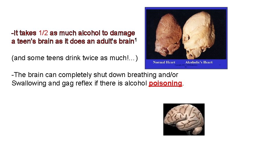 -It takes 1/2 as much alcohol to damage a teen’s brain as it does