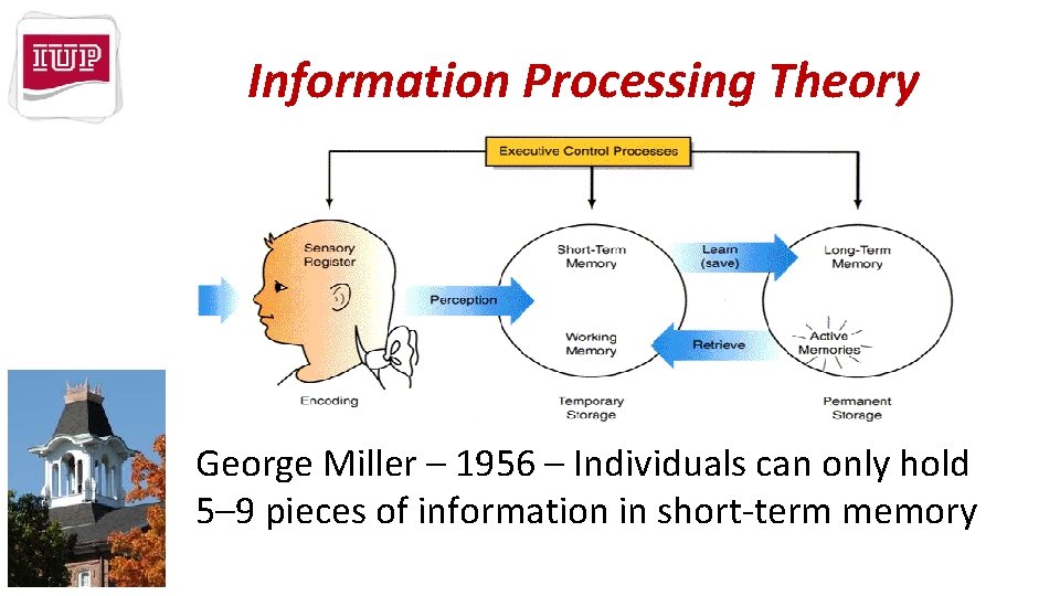 Information Processing Theory George Miller – 1956 – Individuals can only hold 5– 9