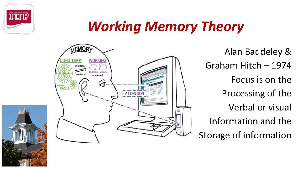 Working Memory Theory Alan Baddeley & Graham Hitch – 1974 Focus is on the